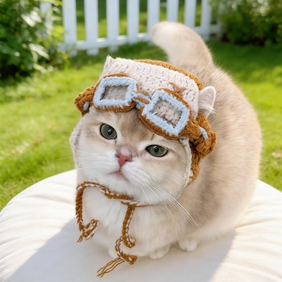 Hand-knitted Dog Aviator Hat With Goggles – Pet Pilot Costume for
