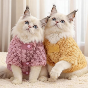 May include: Two fluffy white cats wearing matching pet jackets. One jacket is a soft pink, the other is a golden yellow. Both jackets have a button closure and a small patch pocket. The cats have blue eyes and are looking upwards.