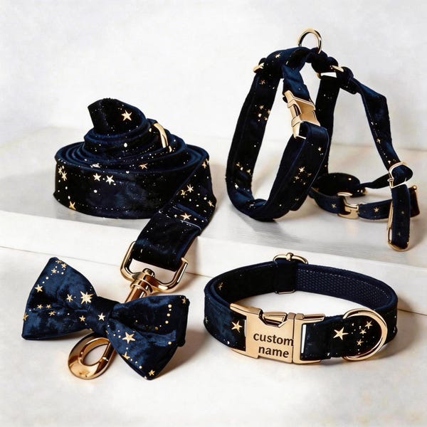 Personalised Velvet Dog Harness Leash Set, Golden Stars Collar, Custom Name Buckle