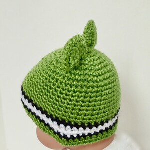 May include: Green crocheted hat with black and white stripes and two ear flaps.