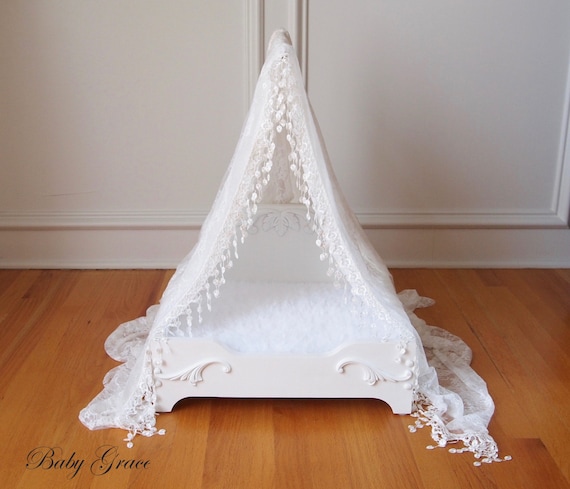 dog bed newborn photography