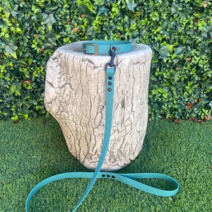 May include: A teal dog collar and lead set. The collar features a brass buckle, and the lead has a black metal clasp. The set is presented on a stone-effect plinth, set against a backdrop of green foliage.