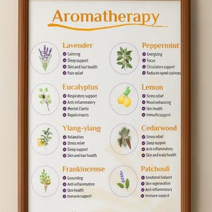 Könnte beinhalten: Gerahmtes Poster mit dem Titel "Aromatherapie" mit Illustrationen von Lavendel, Pfefferminze, Eukalyptus, Zitrone, Ylang-Ylang, Zedernholz, Weihrauch und Patschuli. Jedes ist mit einer Liste von Vorteilen wie Beruhigung und Schlafunterstützung versehen.