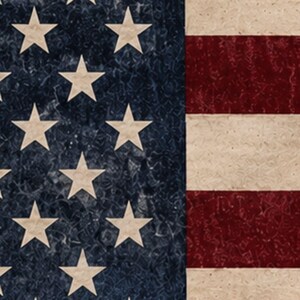 May include: A textured graphic print of the American flag featuring a dark blue canton with off-white stars arranged in rows, positioned next to horizontal stripes in alternating deep red and off-white colors with a weathered, mottled appearance.