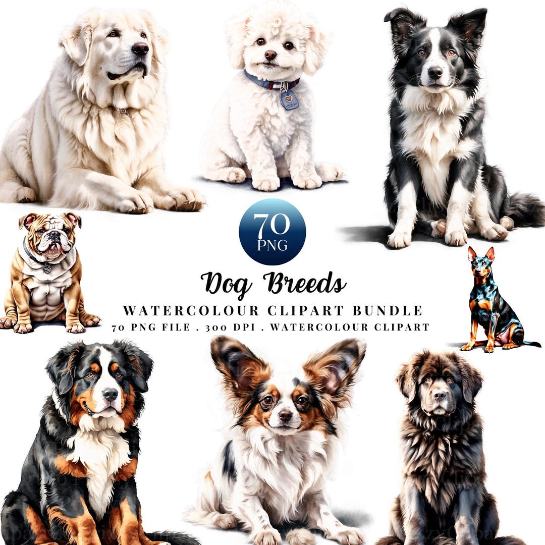 Dog Breed Clipart PNG Bundle, Puppy Illustrations, Transparent ...