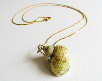 Vintage Gold Dipped Seashell Specimen Handmade Necklace