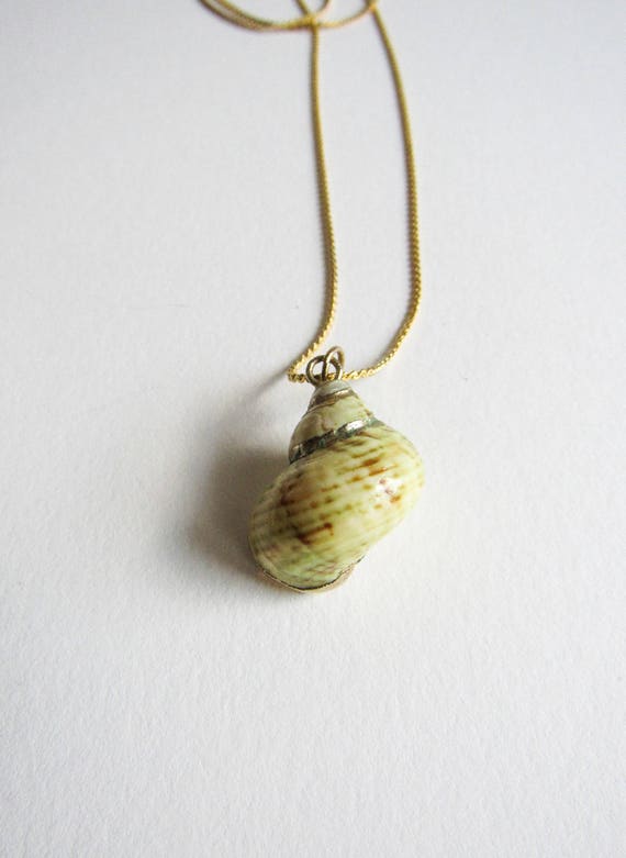 Vintage Gold Dipped Seashell Specimen Handmade Ne… - image 4