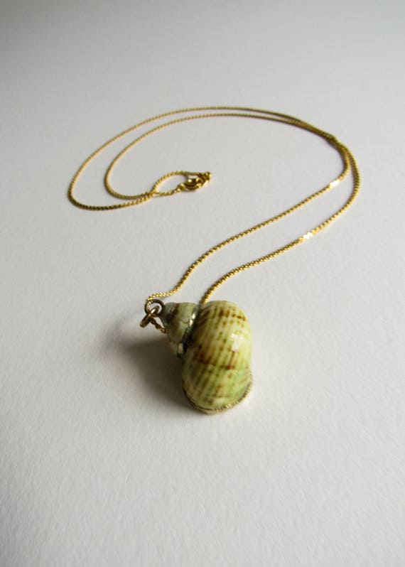 Vintage Gold Dipped Seashell Specimen Handmade Ne… - image 10