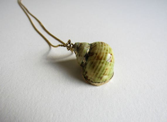 Vintage Gold Dipped Seashell Specimen Handmade Ne… - image 6