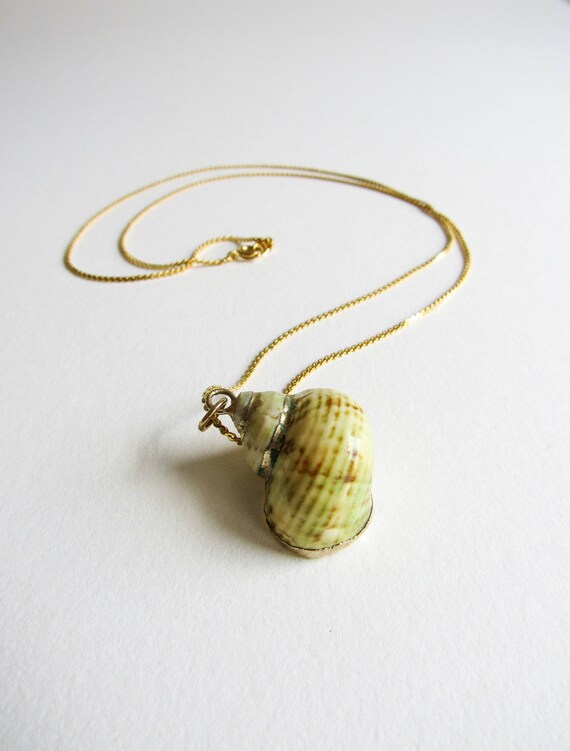 Vintage Gold Dipped Seashell Specimen Handmade Ne… - image 1