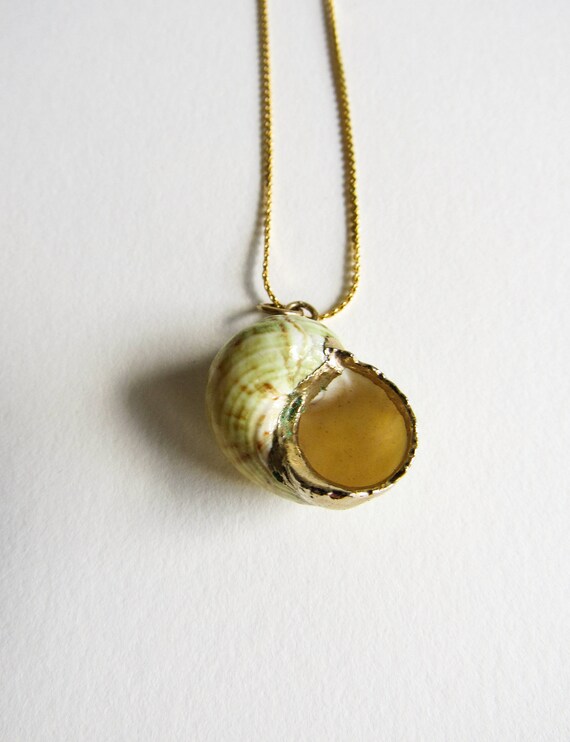 Vintage Gold Dipped Seashell Specimen Handmade Ne… - image 9