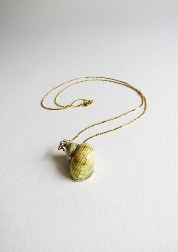 Vintage Gold Dipped Seashell Specimen Handmade Ne… - image 3