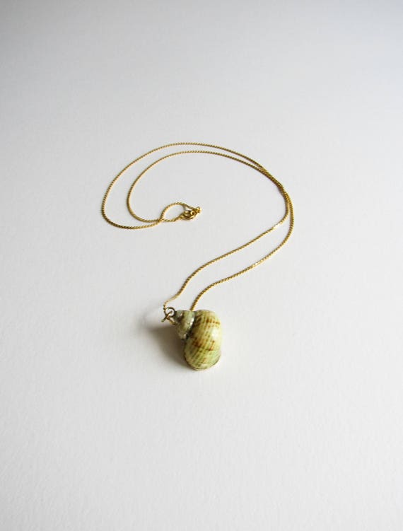 Vintage Gold Dipped Seashell Specimen Handmade Ne… - image 2