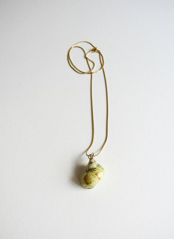 Vintage Gold Dipped Seashell Specimen Handmade Ne… - image 5