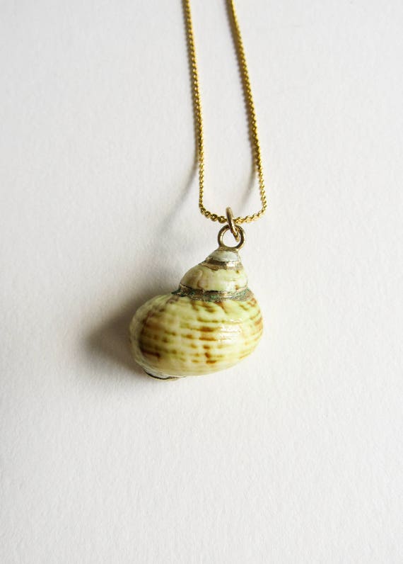 Vintage Gold Dipped Seashell Specimen Handmade Ne… - image 8