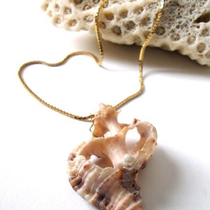 May include: A gold-colored chain necklace with a pendant made from a natural seashell. The pendant is a light beige color with brown and pinkish-red markings. The necklace is displayed on a white surface with a piece of coral in the background.