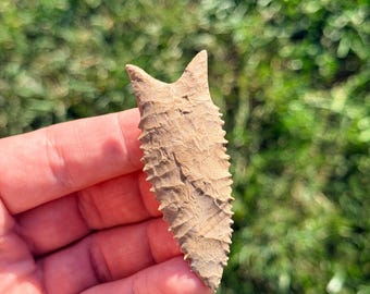 2 13/16” Dalton Arrowhead made out of Ft Payne Flint from Kentucky