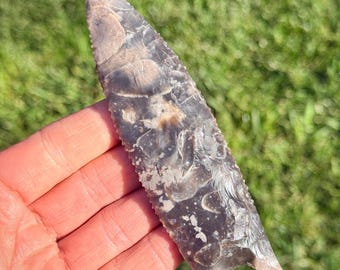 13 cm Dalton Pfeilspitze aus Edward's Chert aus Texas