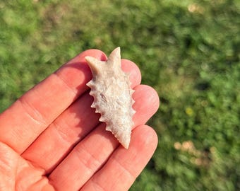 2 1/16” Dalton made out of Creek Chert from Ohio