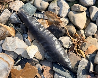 3 11/16” Paleo Lanceolate made out of Kentucky Hornstone
