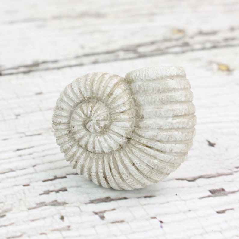 Shell Knobs Dresser Knobs Unique Knobs Beach House Etsy