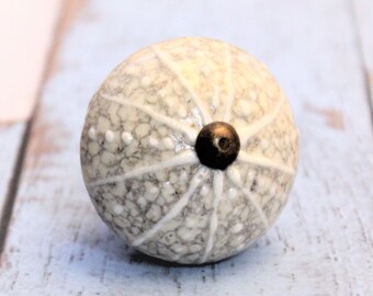 Nautical Knob - Cabinet Knob - Gray Knob - Brass Knob - Dresser Knob - Drawer Knob - Ceramic Knob - Beach House Decor -