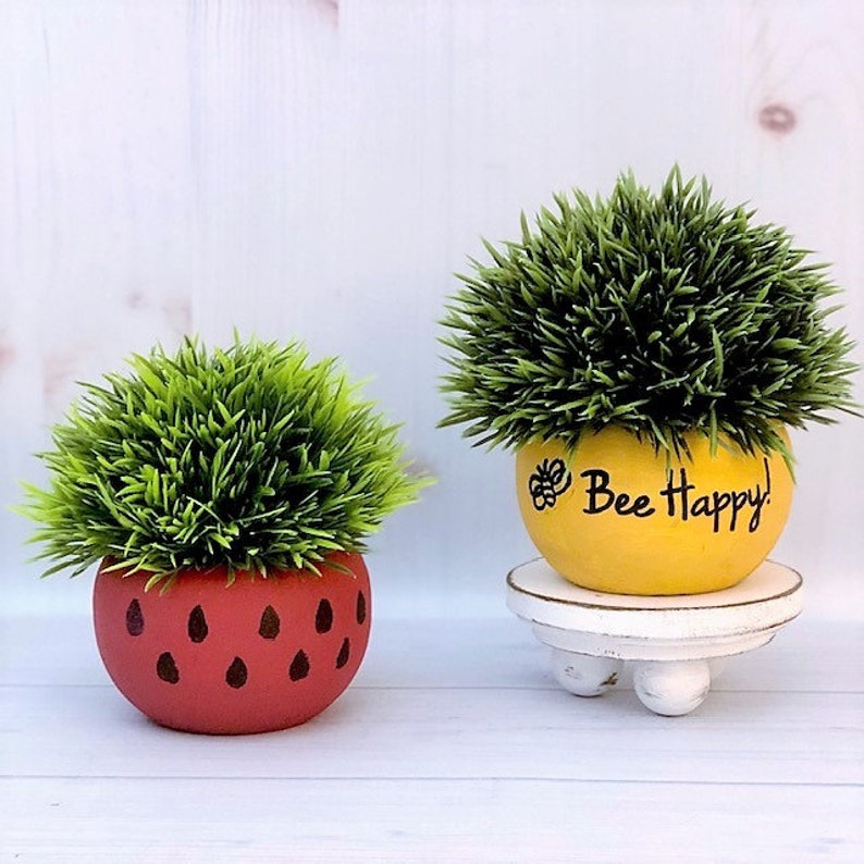 Mini Plants  Watermelon Tiered Tray Decor  Bee Happy image 0