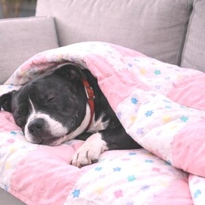 Hand crafted pink with pastel stars patchwork quilt: fun for the whole family and the new baby. Harlow likes it too! What a great gift.