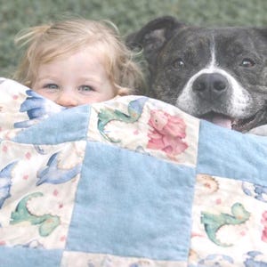 Hand crafted: dinosaur and blue patchwork quilt and solid baby flannel blue backing. So soft and comfortable. Very versatile quilt.