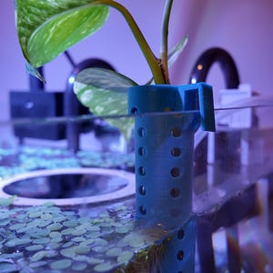 Puede incluir: Un soporte para plantas de color turquesa con un diseño cilíndrico y múltiples aberturas circulares. Una planta verde con hojas abigarradas se coloca dentro del soporte, que está sumergido en agua. La imagen está tomada en un acuario.