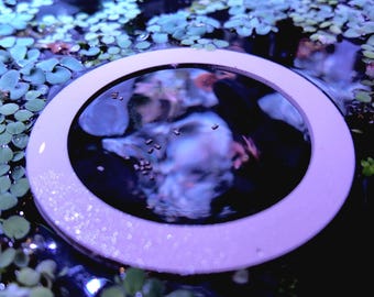 BloomHalo Float Ring | Aquarium Plant and Food Zone
