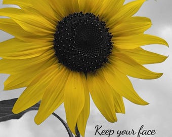 Bright Yellow Sunflower Digital Art (Download)