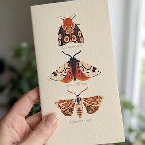May include: A cream-coloured paper notebook featuring three moth illustrations with labels: Peach Bottom Moth, Arctia Tiger Moth, and Garden Tiger Moth. The moths are depicted in shades of orange, brown, black, and cream with intricate wing patterns.