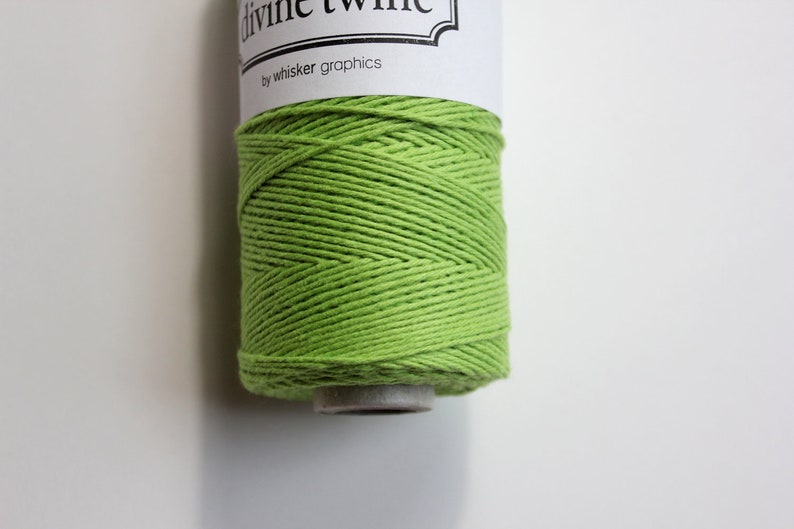 Baker's Twine Green Apple Divine Twine 20 yards Green and White immagine 3