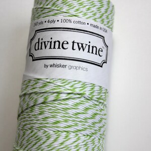 Baker's Twine Green Apple Divine Twine 20 yards Green and White immagine 1