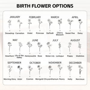 May include: A chart displaying birth flower options for each month of the year. Each month is represented by a line drawing of a flower, with the month and flower name below. The text "BIRTH FLOWER OPTIONS" is at the top.