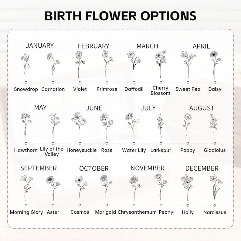 May include: A chart displaying birth flower options for each month of the year. Each month is represented by a line drawing of a flower, with the month and flower name below. The text "BIRTH FLOWER OPTIONS" is at the top.