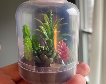 Garden Series 1– DIY Buildable Mini Garden Set