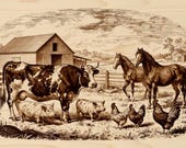 Farm Animals Engraving PNG Farmhouse Wall Art Printable Cow Horse Pig Chicken Vintage Engraving Digital Download 10x15 Inch