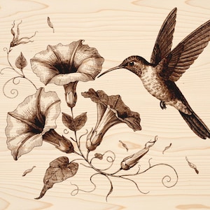Op de afbeelding: Een lichtgekleurde houten plank met een donkerbruine pyrografie-illustratie van een kolibrie in vlucht die drie grote, open ochtendgloriebloemen nadert met gedetailleerde bloemblaadjes, krullende ranken en kleine knoppen.