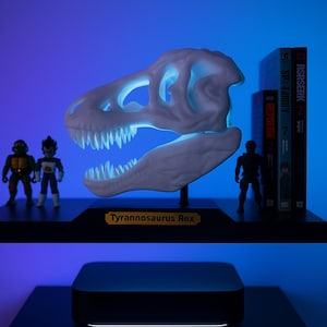Può includere: Un modello di teschio di Tyrannosaurus Rex bianco con interno blu brillante, esposto su una mensola nera. La base recita "Tyrannosaurus Rex". Piccole action figure e manga sono anche sulla mensola.
