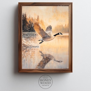 Puede incluir: Lámina artística enmarcada que representa un ganso canadiense en vuelo sobre un lago. La obra muestra el ganso con las alas extendidas, su reflejo visible en el agua. El fondo representa un paisaje sereno con árboles y luz dorada.