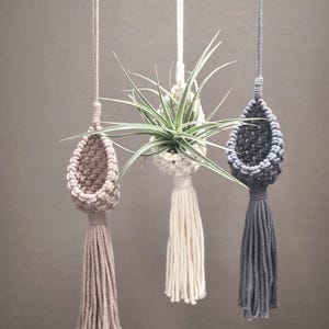 Portapiante aeree a goccia in macramè | Appendino per Tillandsia in stile boho | Decorazione da parete | Mini vaso sospeso per piante aeree | Vaso sospeso | Nido per piante aeree