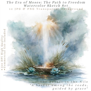 Könnte beinhalten: Eine Aquarellillustration mit dem Titel The Era of Moses: The Path to Freedom Watercolor Sketch Set, die einen geflochtenen Korb zwischen Schilf und blauen Seerosen im Wasser zeigt, mit hellem Licht von oben und Textüberlagerungen.