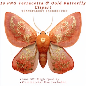 May include: A terracotta and gold butterfly clipart image with a transparent background. The butterfly has detailed wings with gold accents and a textured appearance. The image includes the text "16 PNG Terracotta & Gold Butterfly Clipart" and "300 DPI High Quality".