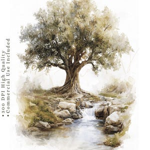 Könnte beinhalten: Eine Aquarellillustration eines großen, belaubten Baumes mit einem dicken, strukturierten Stamm neben einem felsigen Bach. Der Text lautet: Psalms & Metaphors Watercolor Sketch, 12 JPG/PNG Transparent BG, 300 DPI High Quality, Commercial Use Included, Like a tree planted by streams of water.