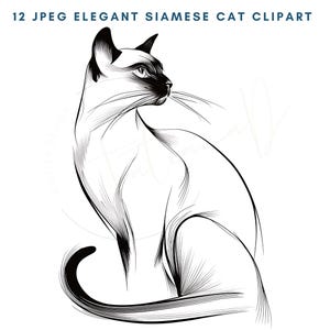 Siamesisk katt JPG/PNG Clipart, eleganta akvarell kattillustrationer för skräpjournal, minimalistisk husdjurskonst digital nedladdning, estetisk kattgrafik