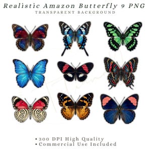 May include: Nine realistic butterfly PNG images with transparent backgrounds. The butterflies feature a variety of colors, including blue, green, red, black, and orange. The text at the top reads "Realistic Amazon Butterfly 9 PNG". The bottom text states "300 DPI High Quality" and "Commercial Use Included".