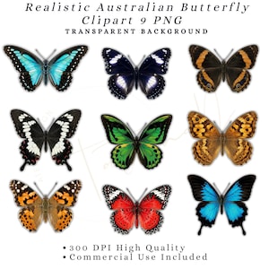 May include: A collection of nine realistic Australian butterfly illustrations arranged in a grid. The butterflies feature diverse color patterns including bright blue, deep black, vibrant green, orange, and red, all displayed on a white background.
