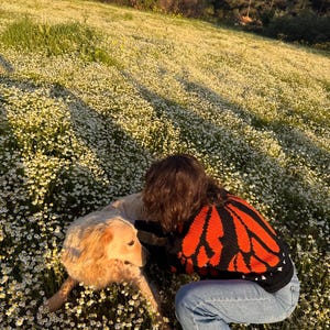 May include: A long-sleeved sweater featuring a black and orange monarch butterfly wing pattern, paired with light blue denim jeans. The sweater has a crew neckline and a knit texture, worn while kneeling in a field of small white flowers.
